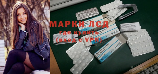 spice Аркадак